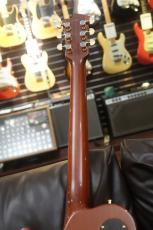 FUJIGEN MVFL200QM-U / Royal Burst_9
