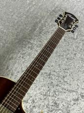Rozeo 【春の中古楽器祭り】Ladybug LA-CTM Mahogany-TB HB/Brown  【2020'sUSED】【国産ギター】_4