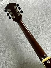 Rozeo 【春の中古楽器祭り】Ladybug LA-CTM Mahogany-TB HB/Brown  【2020'sUSED】【国産ギター】_6