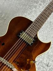 Rozeo 【春の中古楽器祭り】Ladybug LA-CTM Mahogany-TB HB/Brown  【2020'sUSED】【国産ギター】_9