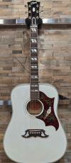 Gibson 【Greatest Hits Vol.Ⅱ】Dove Alpine White Gloss【カスタムショップ】【2026年製】_2