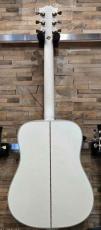 Gibson 【Greatest Hits Vol.Ⅱ】Dove Alpine White Gloss【カスタムショップ】【2026年製】_4