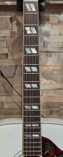 Gibson 【Greatest Hits Vol.Ⅱ】Dove Alpine White Gloss【カスタムショップ】【2026年製】_5
