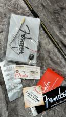 Fender American Professional Stratocaster Black 2016_10