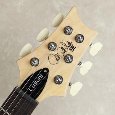 Paul Reed Smith [PRS] SE CUSTOM 24　【Slate Blue】_5