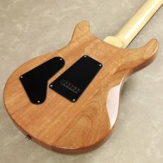 Paul Reed Smith [PRS] SE CUSTOM 24　【Slate Blue】_7