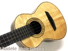 Akira Niihori Ukulele [Cobra]グランドコンサート カーリー栃/ウォルナット(裏1P) #02038_6