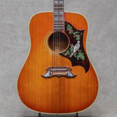 Gibson Dove / 1964