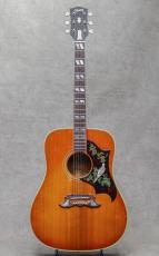 Gibson Dove / 1964_2