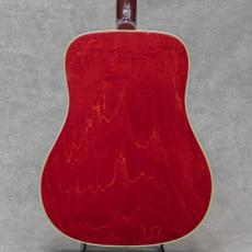 Gibson Dove / 1964_3