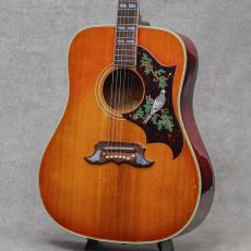 Gibson Dove / 1964_5