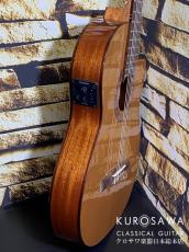 Cordoba コルドバ C5-CET【日本総本店2F 在庫品】_7