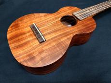 Kamaka HF-2_5