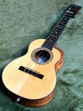 DaSilva Ukulele Custom Tenor James Hill Model 【2012年製】【ピックアップ搭載】【送料込】_2