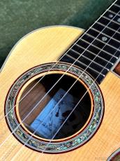 DaSilva Ukulele Custom Tenor James Hill Model 【2012年製】【ピックアップ搭載】【送料込】_6