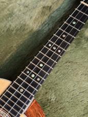 DaSilva Ukulele Custom Tenor James Hill Model 【2012年製】【ピックアップ搭載】【送料込】_8