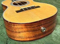DaSilva Ukulele Custom Tenor James Hill Model 【2012年製】【ピックアップ搭載】【送料込】_14