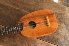 Famous Soprano FU-180P