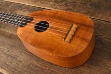 Famous Soprano FU-180P_2
