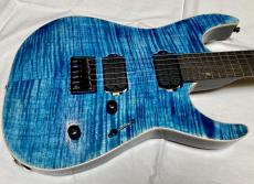 Edwards E-M-Ⅱ Edwards エドワーズ　ミラージュ　M-2_2