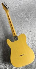 Fender American Professional Classic Telecaster MN / Butterscotch Blonde ≒3.28kg #US25076590_9