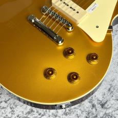 FUJIGEN NLS110 RMP-AG~Antique Gold~#A260126 [4.05kg]_5