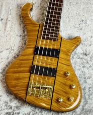 FREEDOM CUSTOM GUITAR RESEARCH Dulake 5st - 晩秋 - 【4.63kg】_2