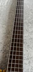 FREEDOM CUSTOM GUITAR RESEARCH Dulake 5st - 晩秋 - 【4.63kg】_4