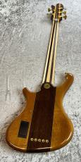 FREEDOM CUSTOM GUITAR RESEARCH Dulake 5st - 晩秋 - 【4.63kg】_7
