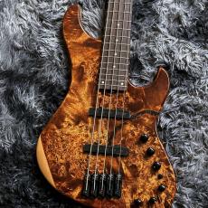 Ibanez MDM1305-NAB (Natural Stained Amber Burst)  "Mode" Series 5-String