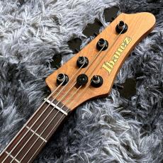 Ibanez MDM1005-MAM (Midnight Arctic Ocean Matte)  "Mode" Series 5-String_5