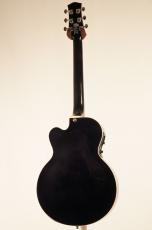 VOX Giulietta VGA-3D【USED】_6