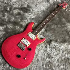 Paul Reed Smith [PRS] SE CUSTOM 24 -Bonni Pink / Natural Back(modify)【現物画像】_2