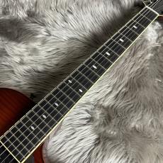 Sadowsky LS-15 Violin Burst【現物画像】_9