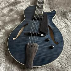 Sadowsky SS-15 Transparent Black【現物画像】