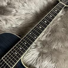 Sadowsky SS-15 Transparent Black【現物画像】_9
