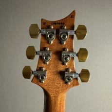 Paul Reed Smith [PRS] Custom 24 10Top Yellow Tiger Pattern Thin Neck【現物画像】_8
