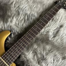 Paul Reed Smith [PRS] SE DGT Gold Top【現物画像】_9