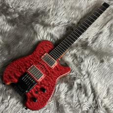 CARVIN HHseries【現物画像】