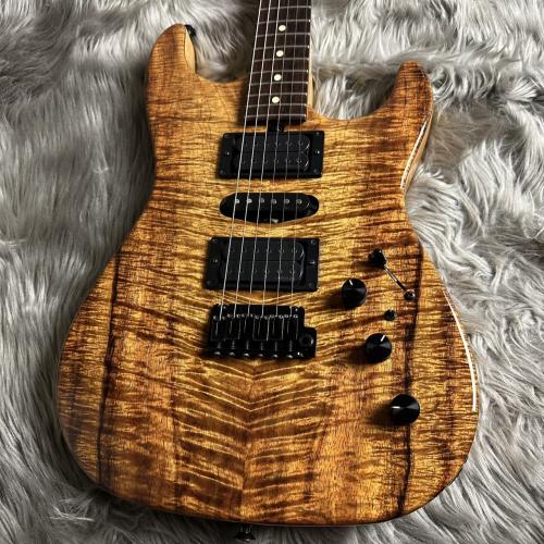 Sadowsky Koa Top Custom (S/N: 7277)【現物画像】