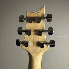 Paul Reed Smith [PRS] CE24(RED)2015年製【現物画像】_8