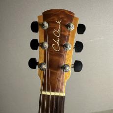 Cole Clark AN2AC【現物画像】_7