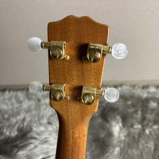 G String T4 Honu Tattoo 【Tenor-テナー】【現物画像】【最大36回分割無金利 実施中】_9