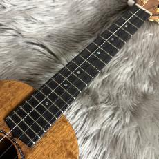 G String T4 Honu Tattoo 【Tenor-テナー】【現物画像】【最大36回分割無金利 実施中】_10
