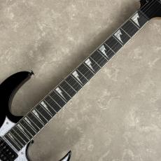 Ibanez RGV250 【ブラック】_4