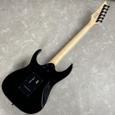 Ibanez RGV250 【ブラック】_8