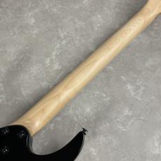 Ibanez RGV250 【ブラック】_9