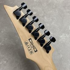 Ibanez RGV250 【ブラック】_10