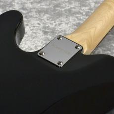 SCHECTER OL-PT-CTM-BPG/R_9