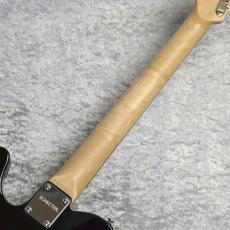 SCHECTER OL-PT-CTM-BPG/R_10
